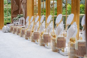 VIP-Package-Dior